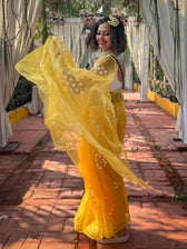 Malar