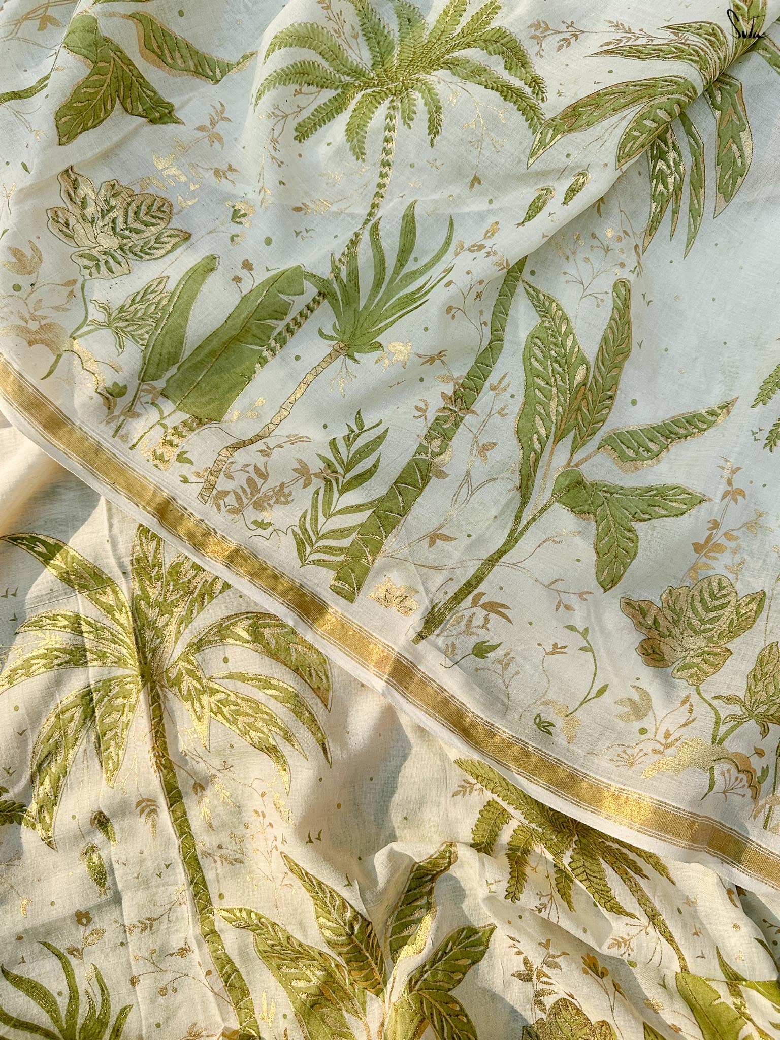 Ivory Palm