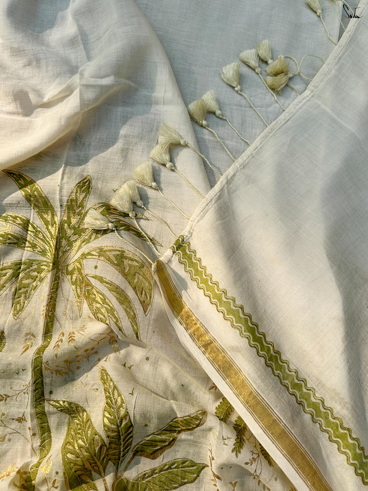 Ivory Palm