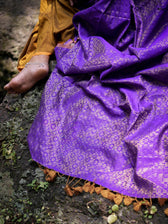 Khoyi Bulbul
