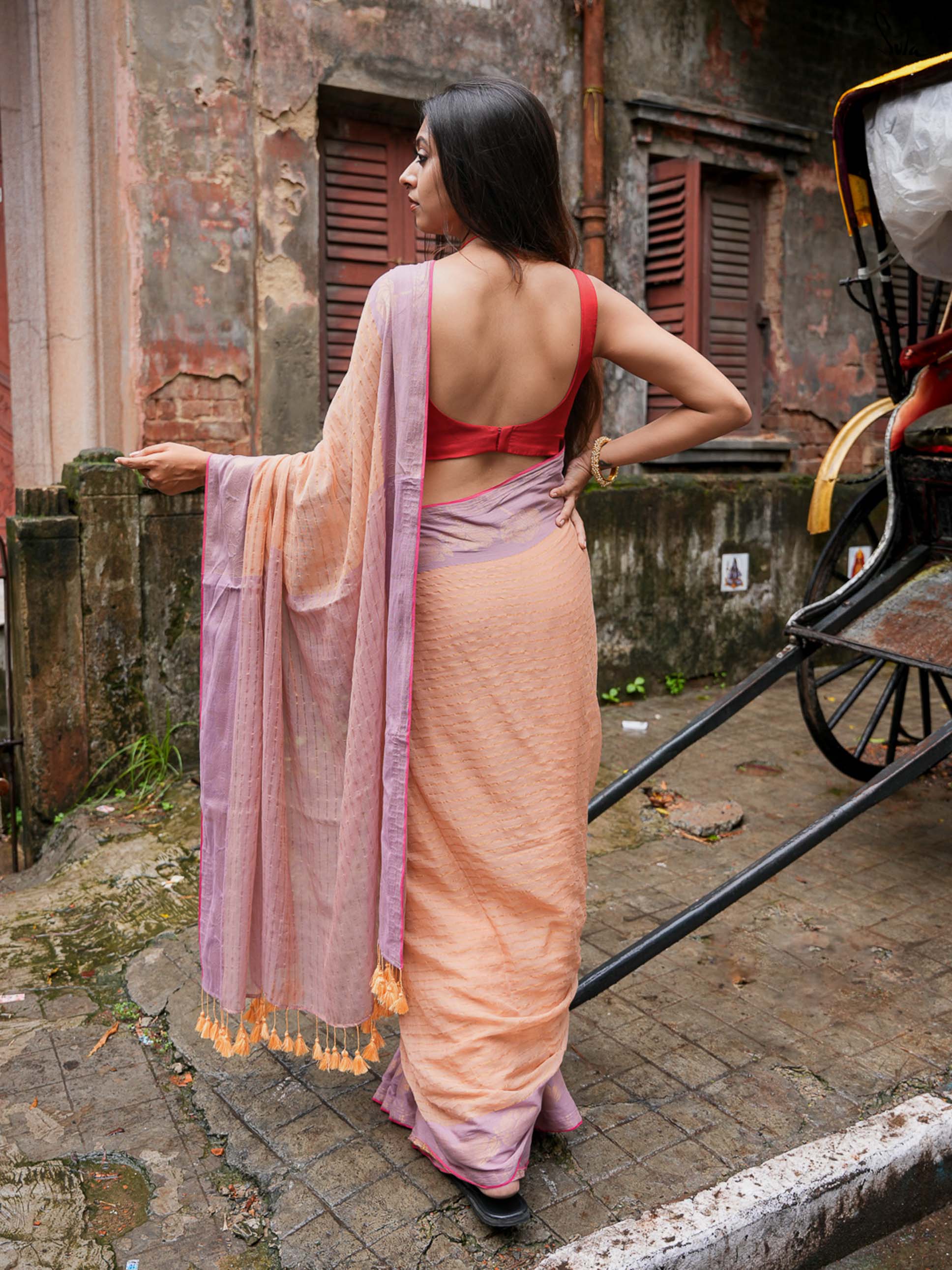 Meva Pushkar