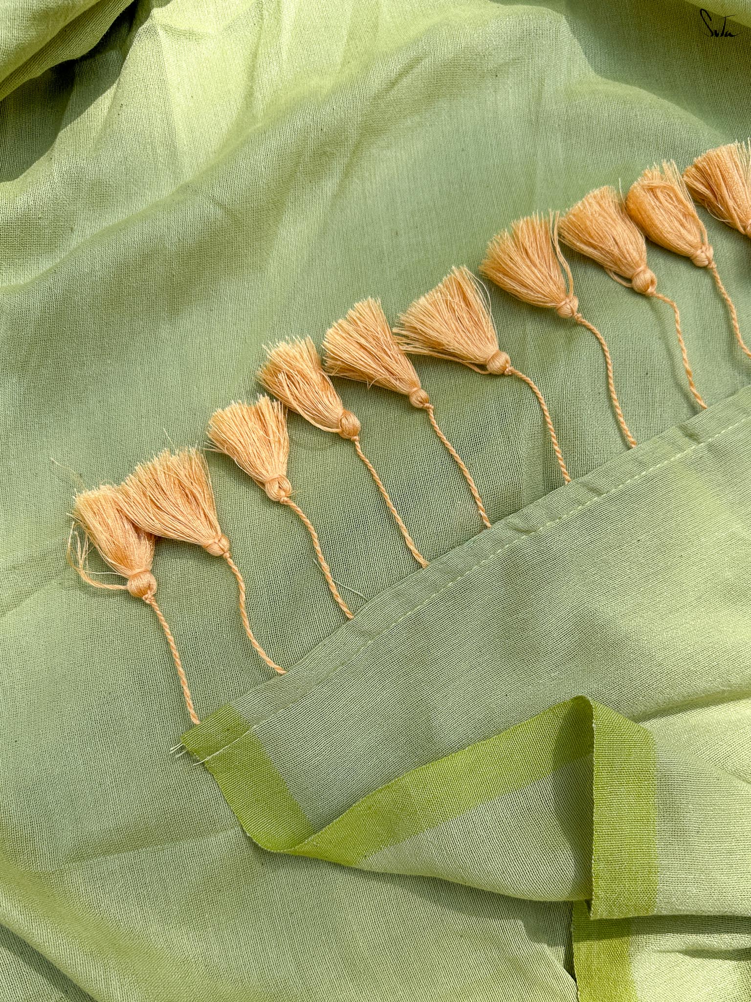 Mridula Olive