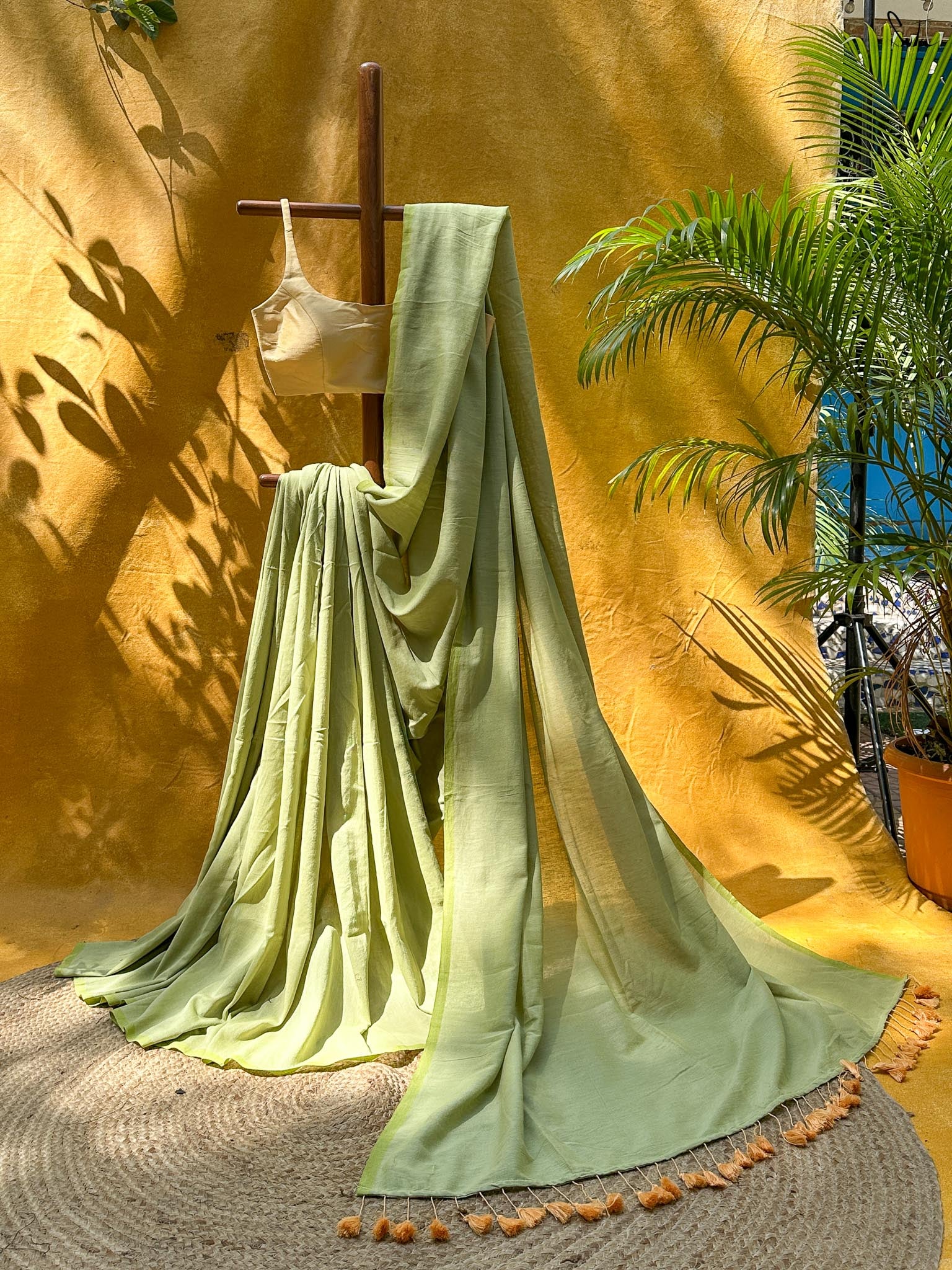Mridula Olive