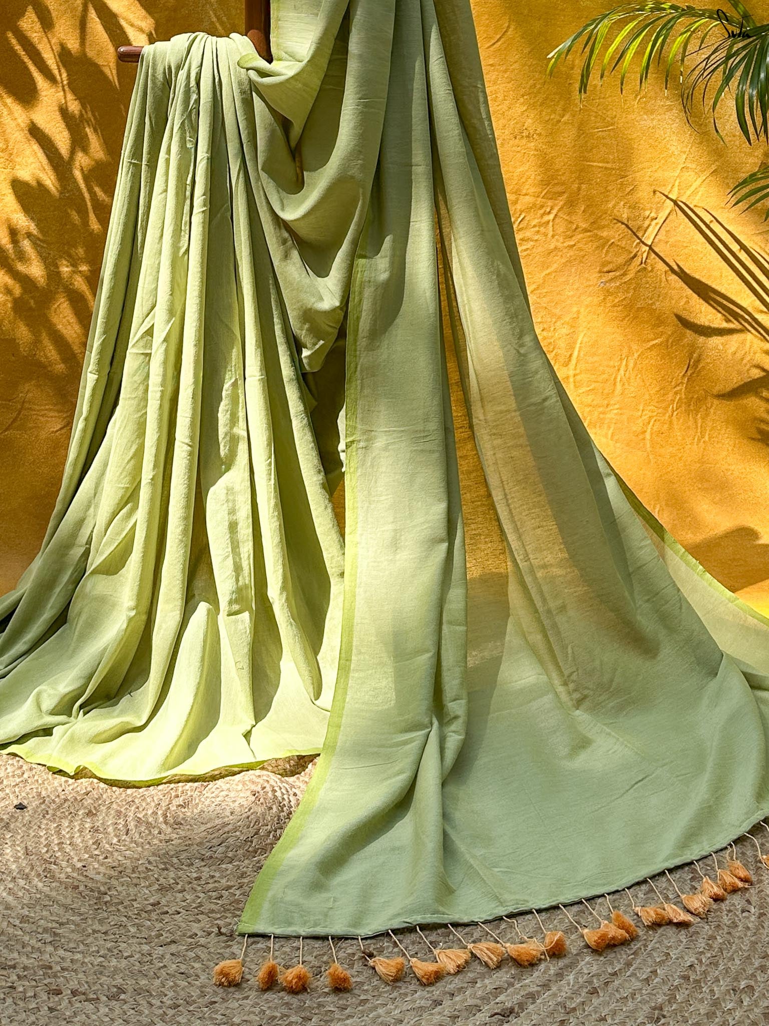 Mridula Olive