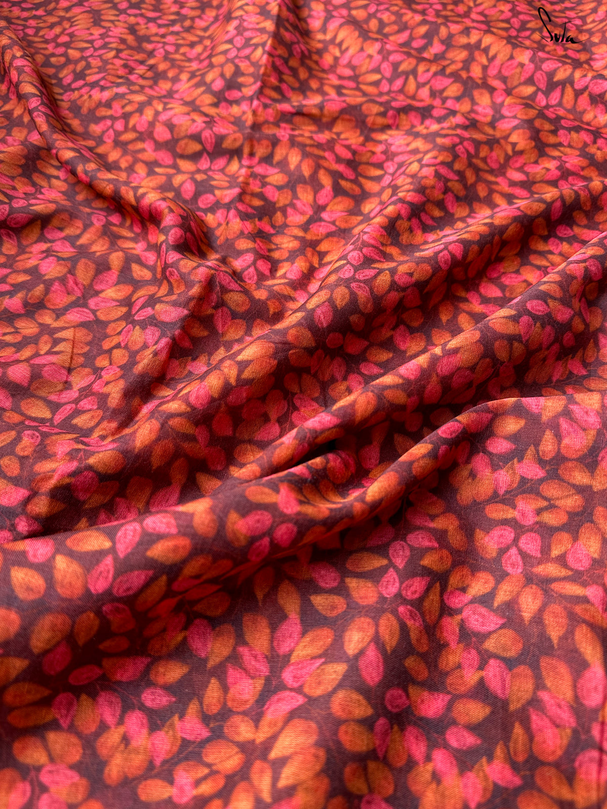 Cocoa Blossom