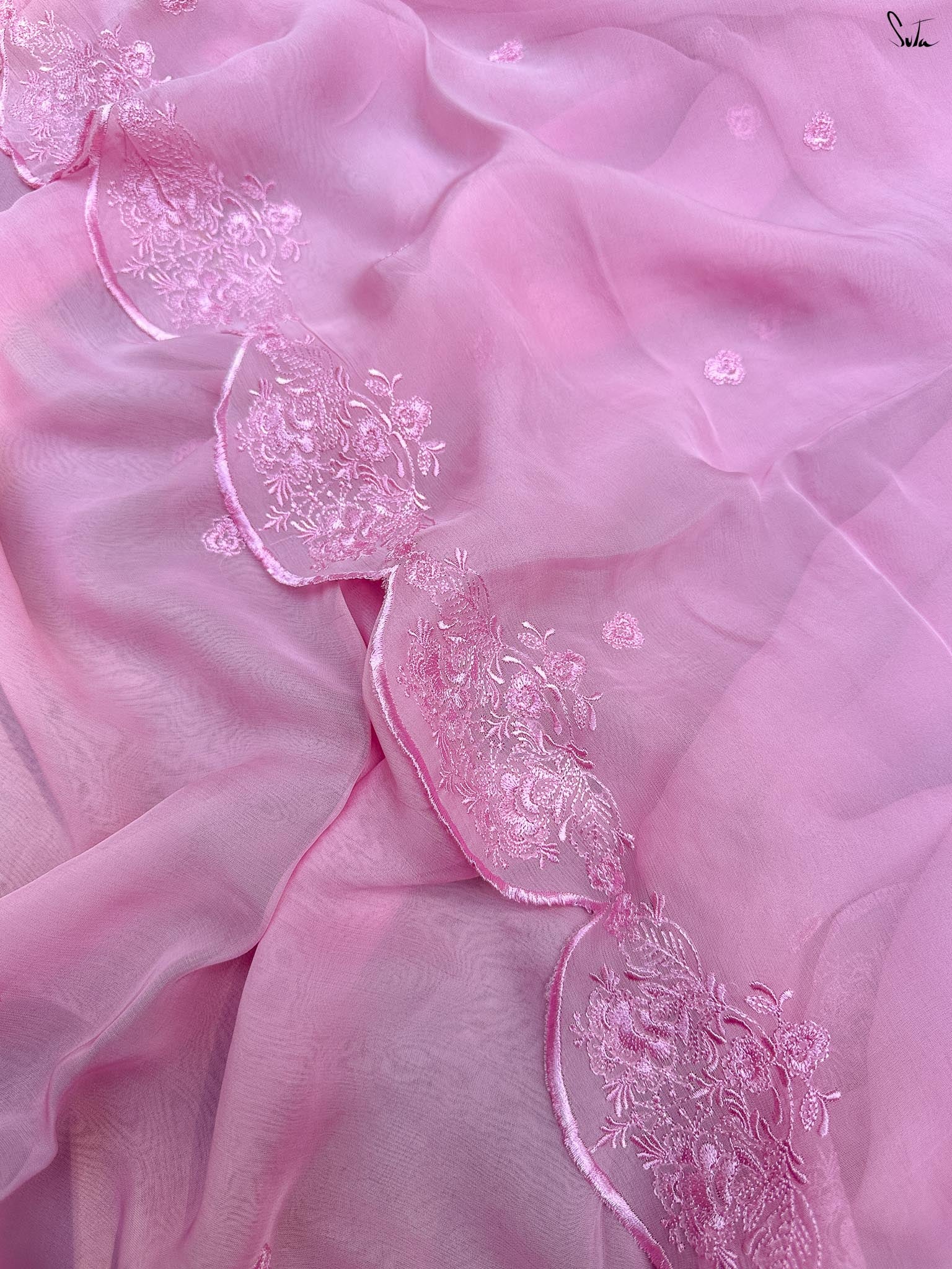 Petal Shore