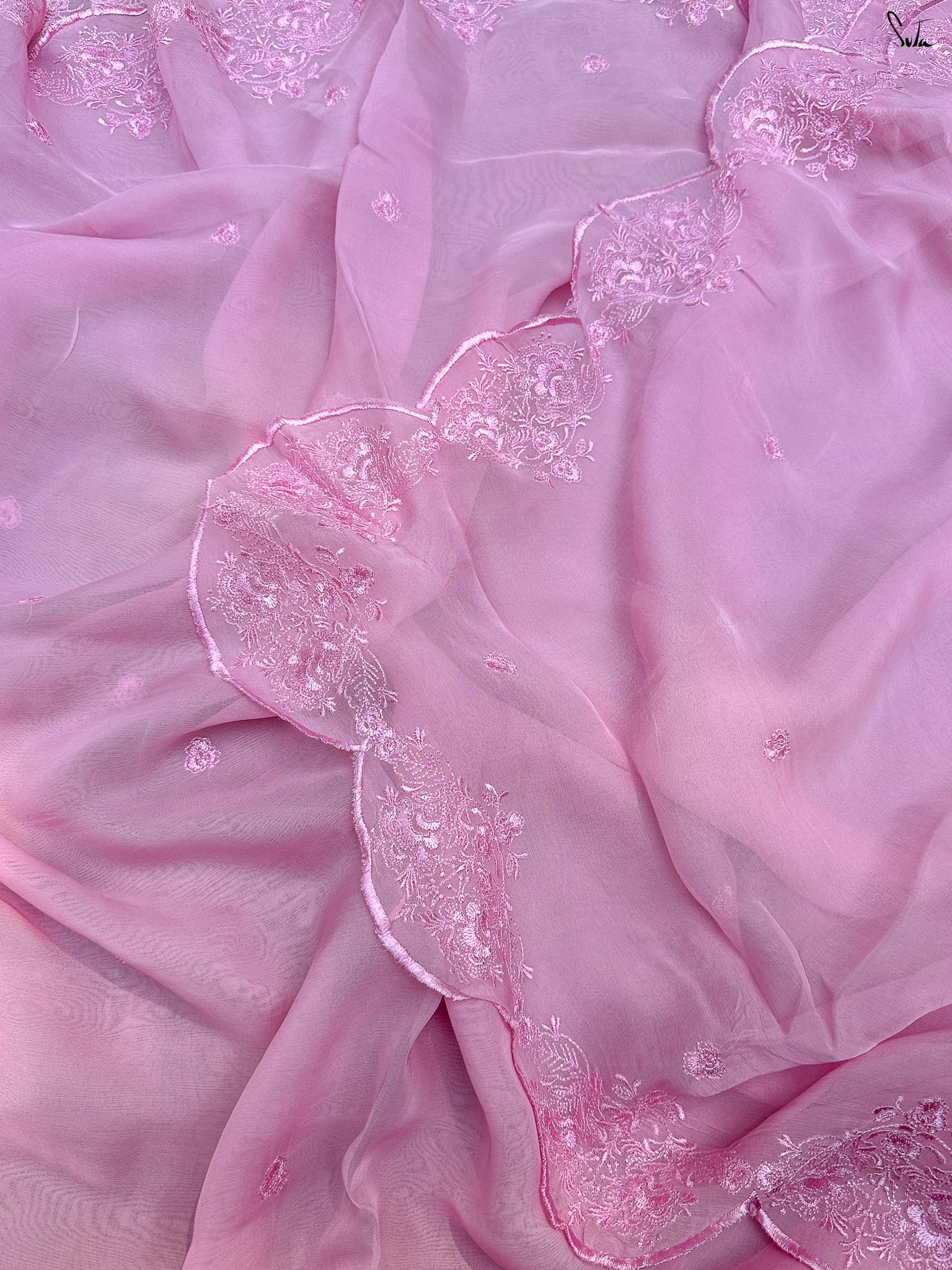 Petal Shore