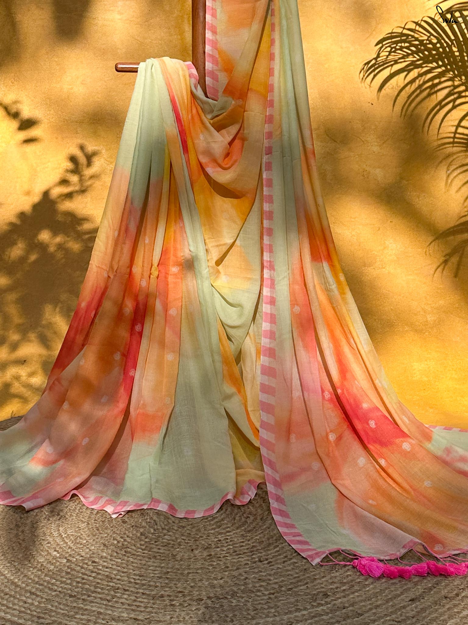 Rainbow Rani