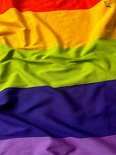 Ray Of Pride