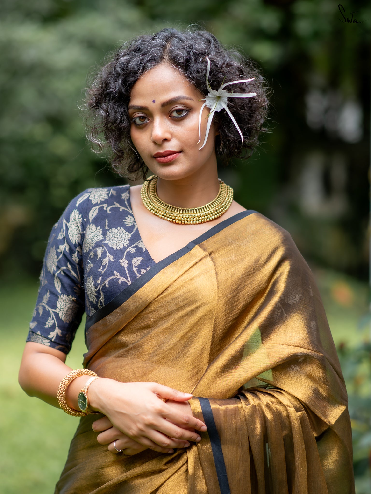 Suta Gold Tissue Saree