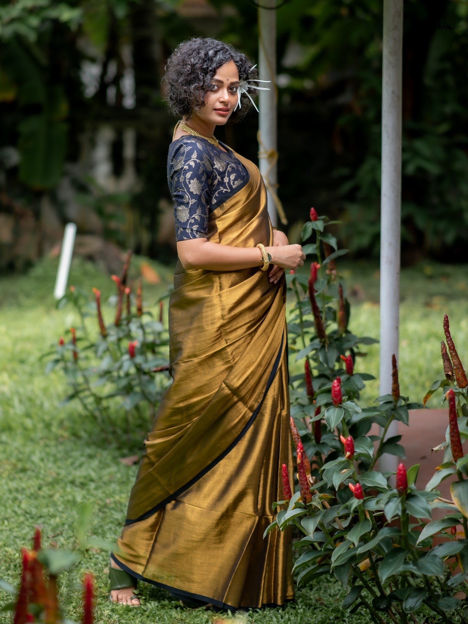Suta Gold Tissue Saree