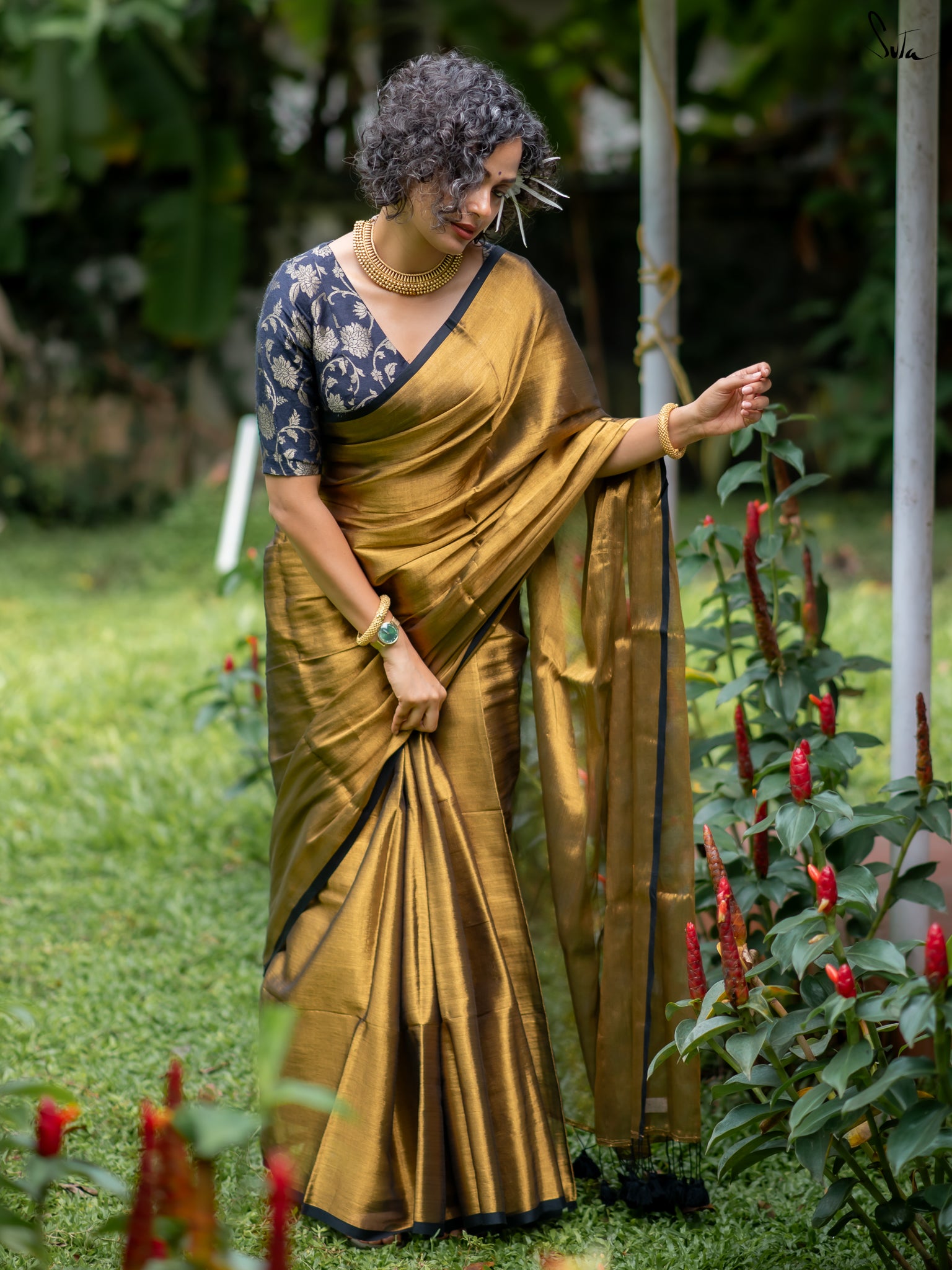 Suta Gold Tissue Saree