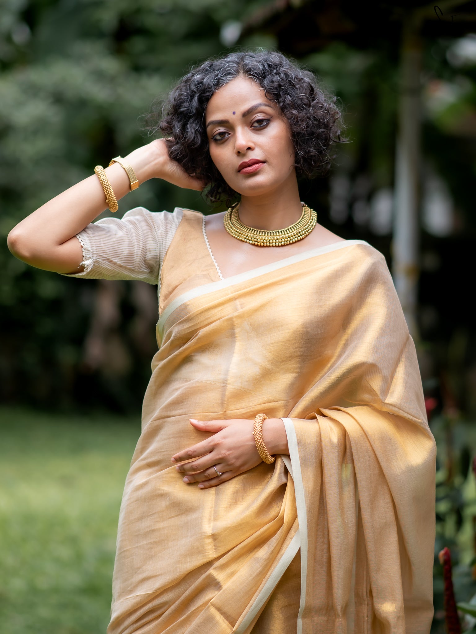 Suta Gold Tissue Saree