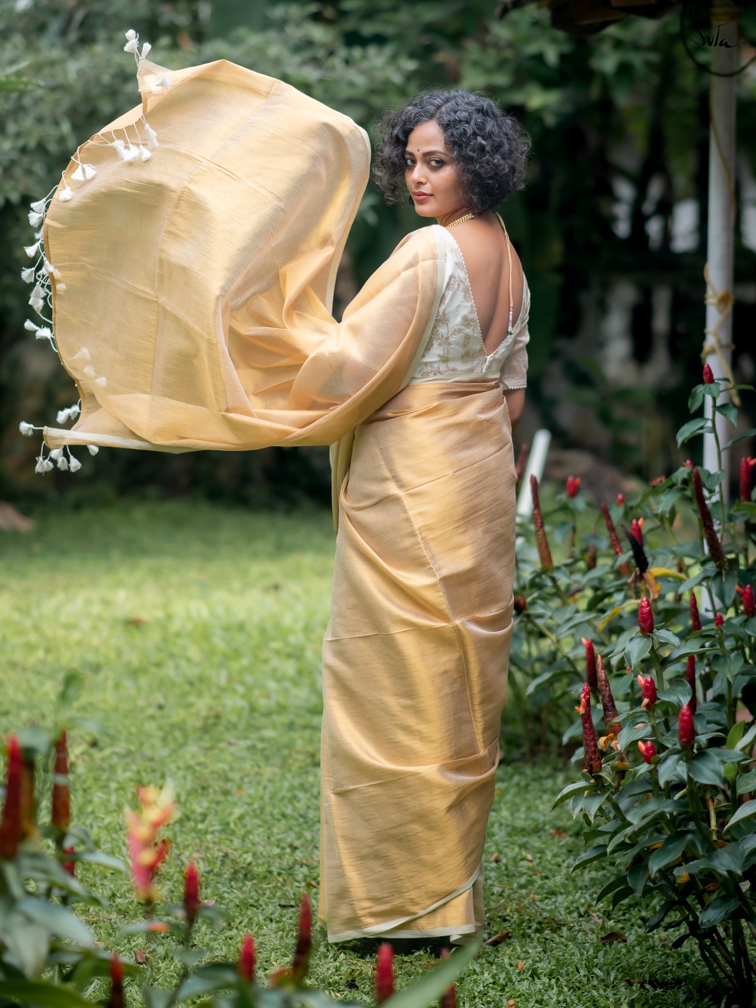 Suta Gold Tissue Saree