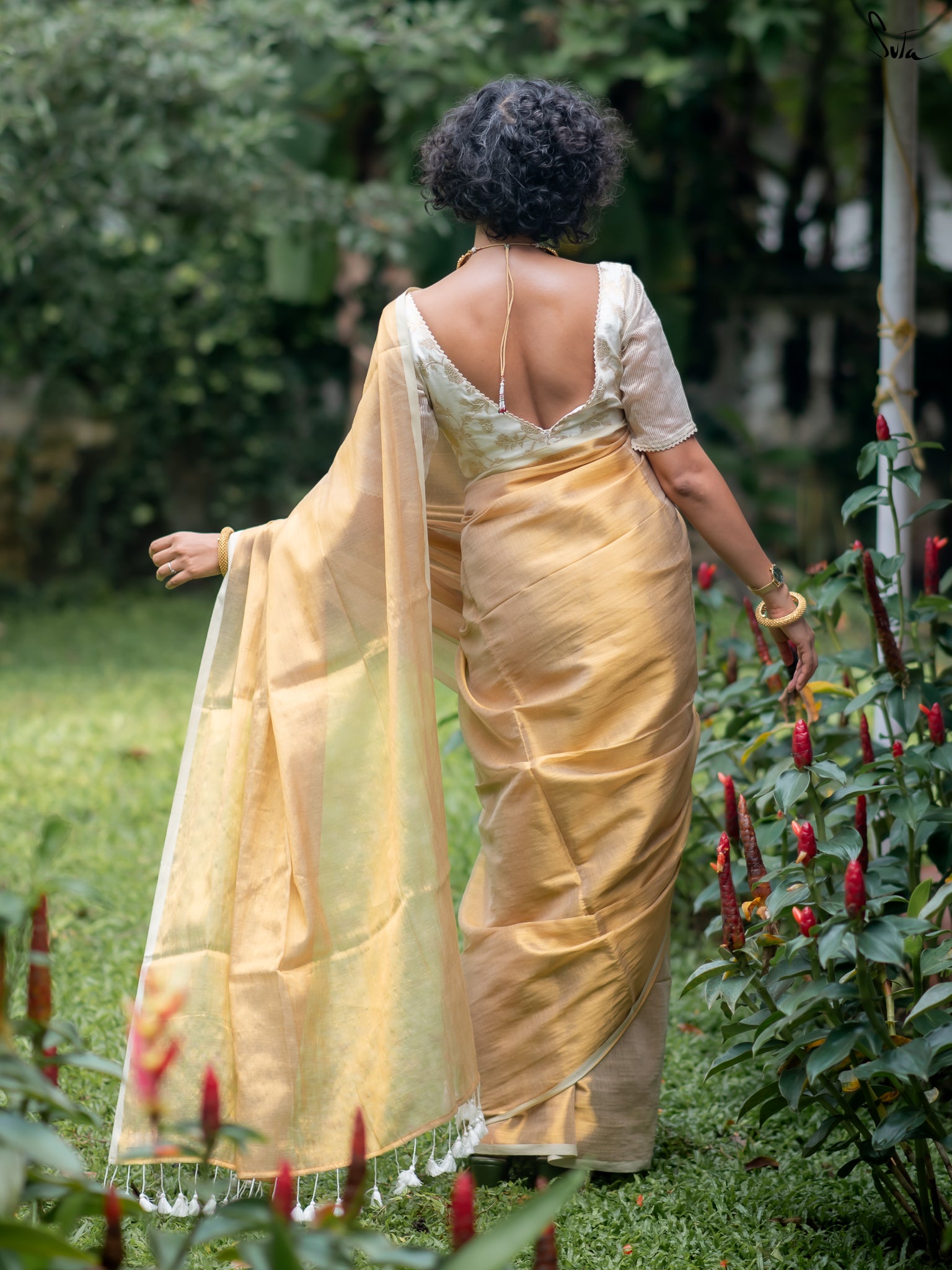 Suta Gold Tissue Saree