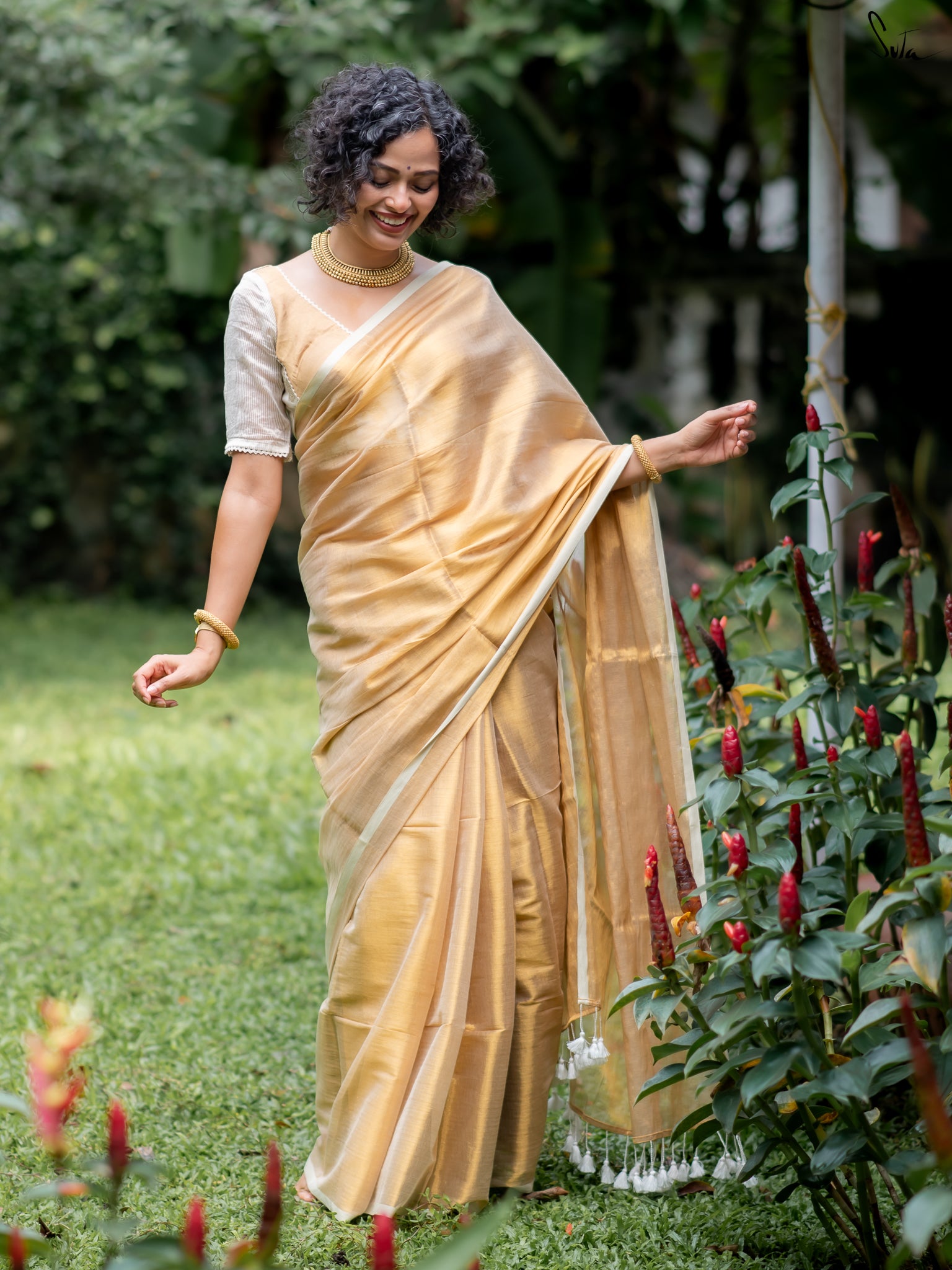 Suta Gold Tissue Saree
