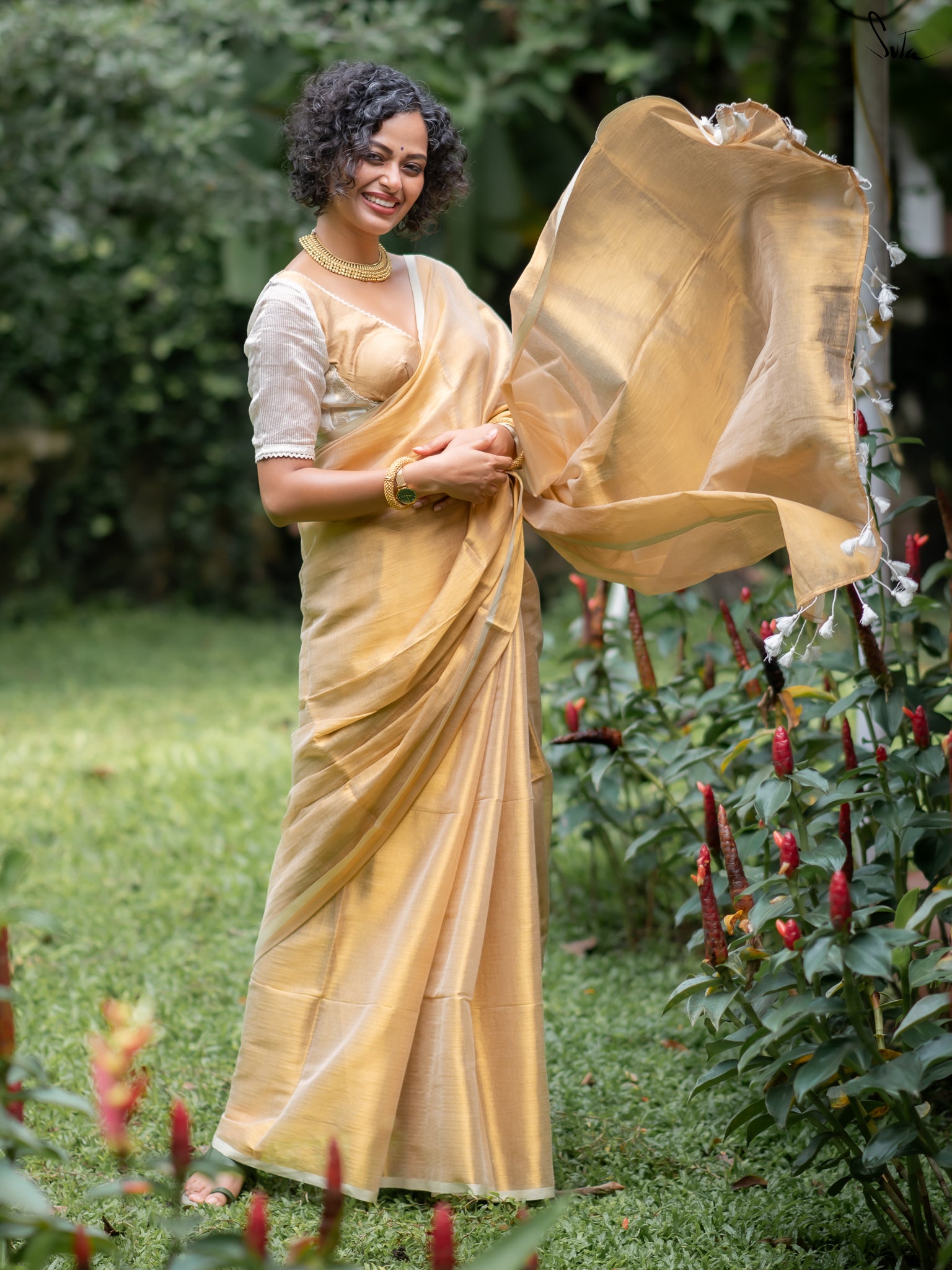 Suta Gold Tissue Saree