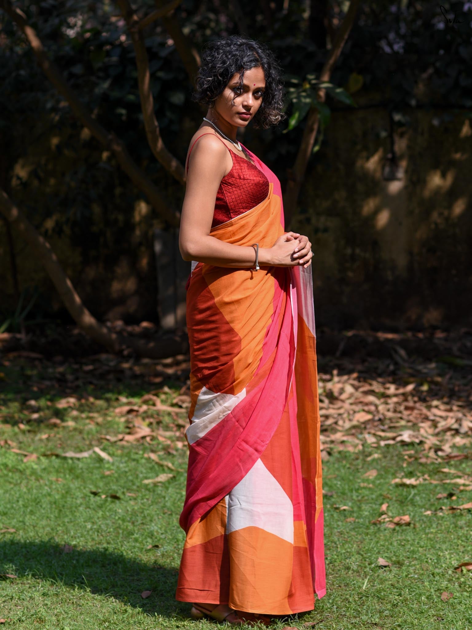 Amalgation Of Colours Saree