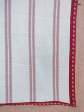 Calm White Saree