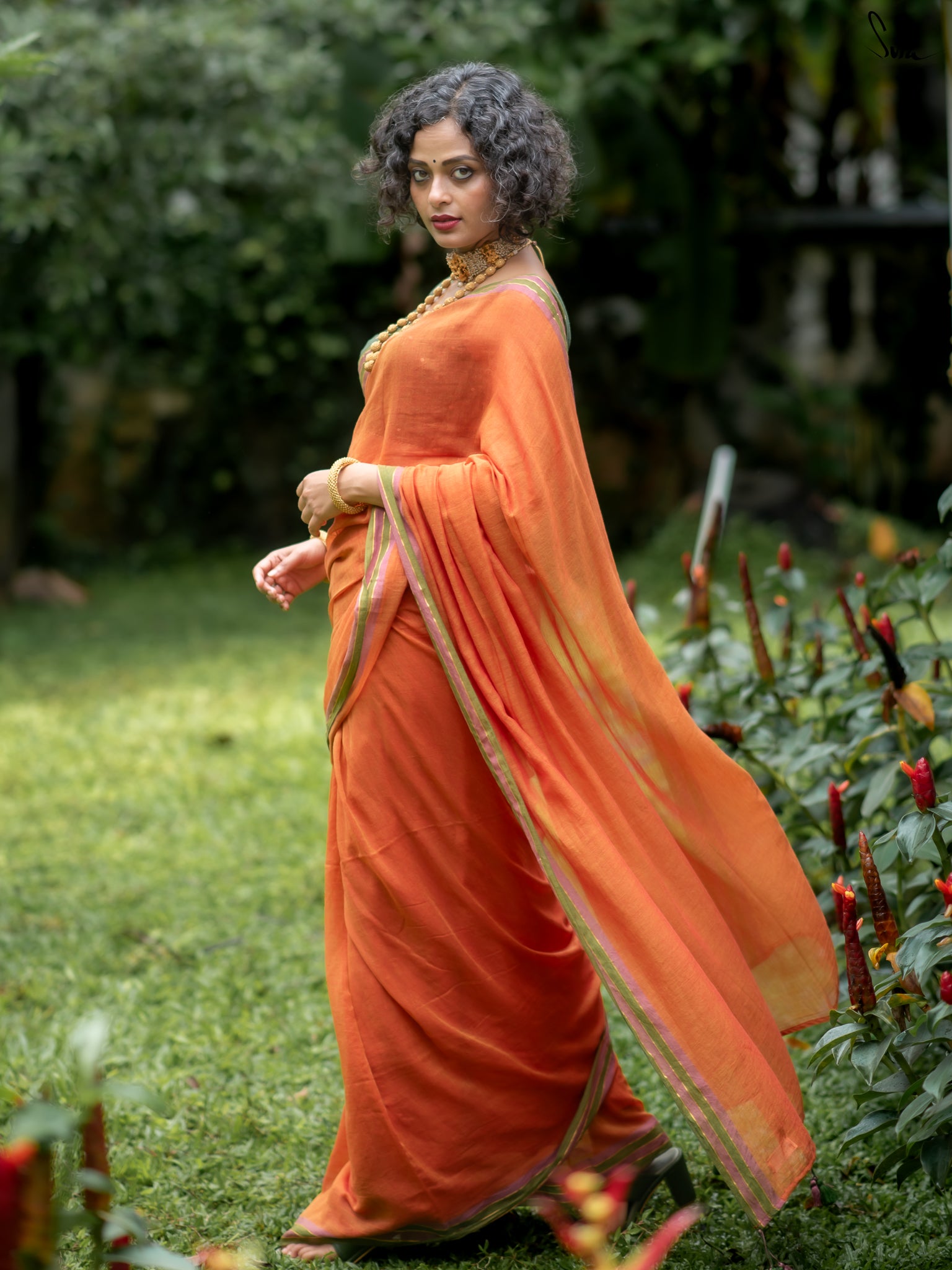 Suta Rust Pure Cotton Saree