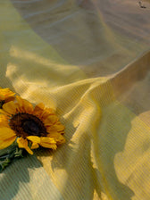 Sitara Sa Basant