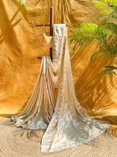 Ujli Roshni