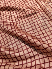 Pankhon Wali Kahaani (Hand Painted Pure Silk Saree)
