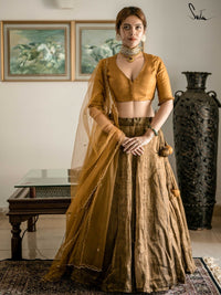Chilka sarovar (Lehenga Set) - suta